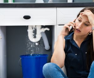 About Sewer Line Pros Forest Ranch, CA